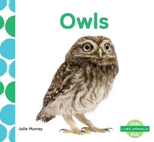 Cover image for Owls