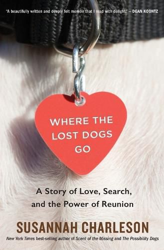 Cover image for Where the Lost Dogs Go: A Story of Love, Search, and the Power of Reunion