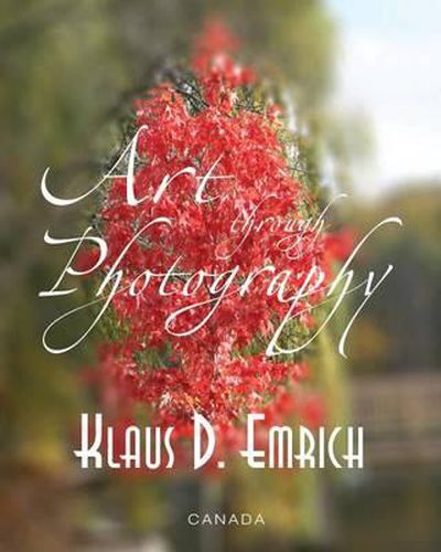 Cover image for Art through Photography