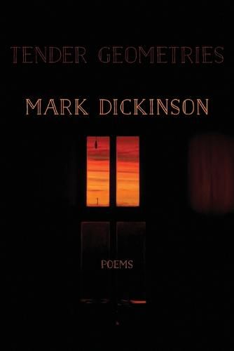 Cover image for Tender Geometries