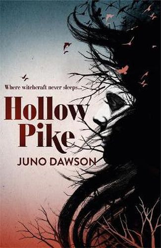 Cover image for Hollow Pike