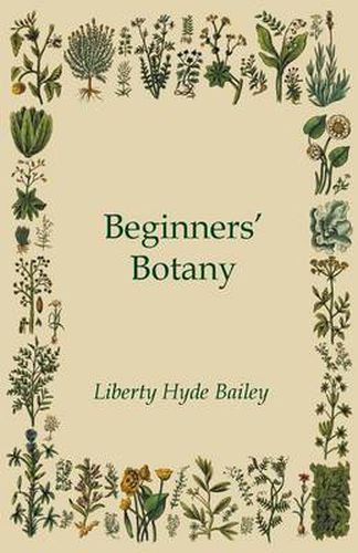 Cover image for Beginners' Botany