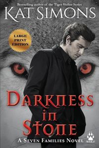 Cover image for Darkness in Stone