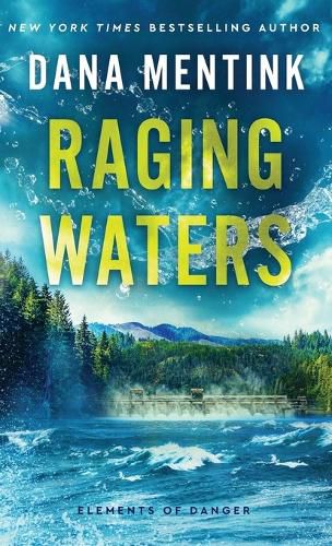 Cover image for Raging Waters