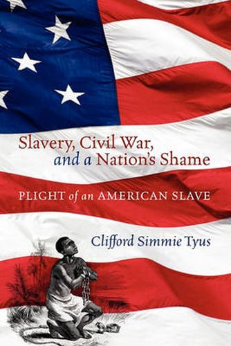 Cover image for Slavery, Civil War, and a Nation's Shame: Plight of an American Slave