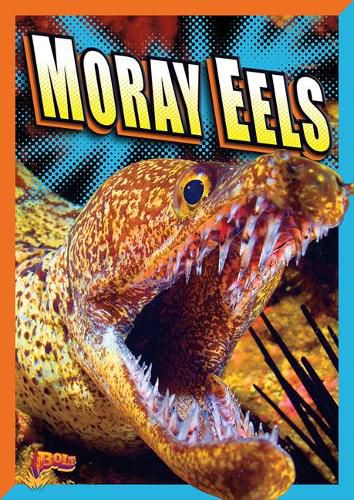 Cover image for Moray Eels