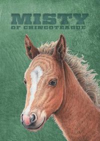 Cover image for Misty of Chincoteague