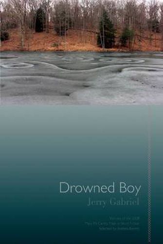 Drowned Boy: Stories