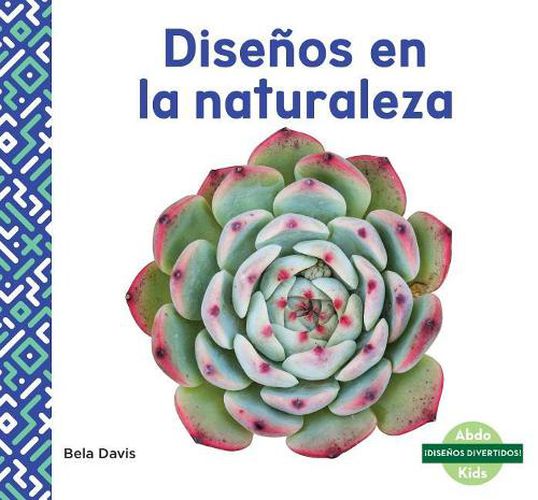 Cover image for DisenOs En La Naturaleza / Patterns in Nature