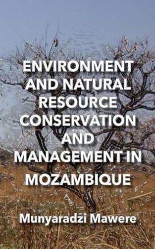 Cover image for Environment and Natural Resource Conservation and Management in Mozambique