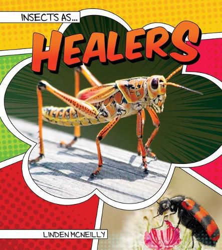 Cover image for Insects as Healers