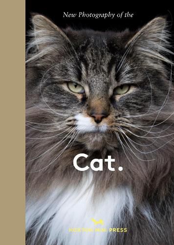 Cover image for New Photography of the Cat.