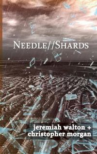 Cover image for Needle // Shards