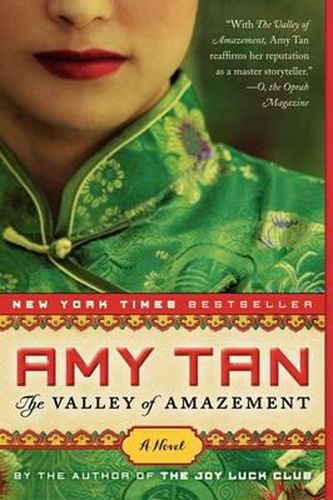 Cover image for The Valley of Amazement