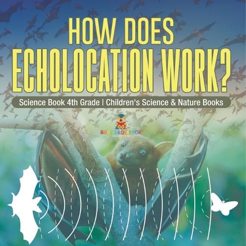 Cover image for How Does Echolocation Work? Science Book 4th Grade Children's Science & Nature Books