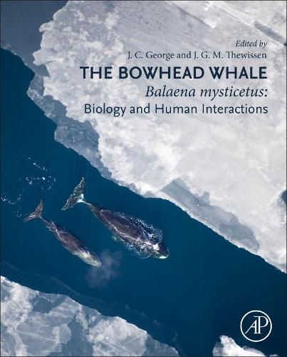 Cover image for The Bowhead Whale: Balaena Mysticetus: Biology and Human Interactions