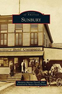 Cover image for Sunbury