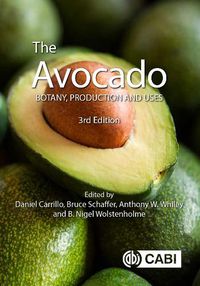 Cover image for The Avocado