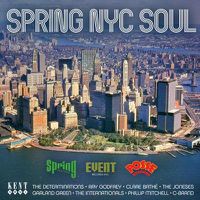 Cover image for Spring Nyc Soul