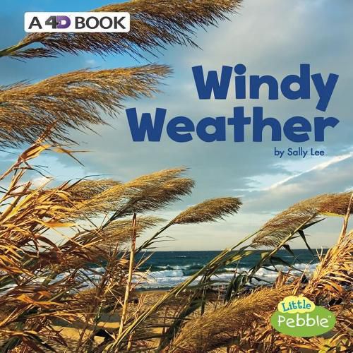 Windy Weather: a 4D Book (All Kinds of Weather)