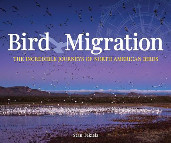 Cover image for Bird Migration: The Incredible Journeys of North American Birds