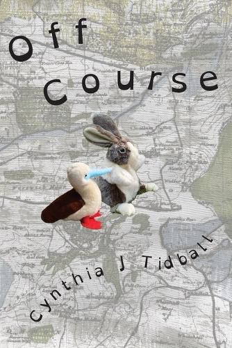 Cover image for Off Course