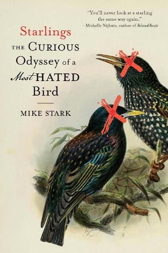 Cover image for Starlings