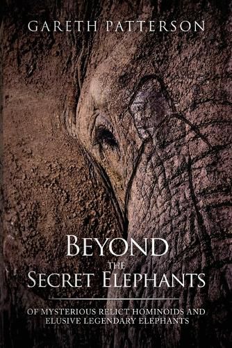 Cover image for Beyond the Secret Elephants