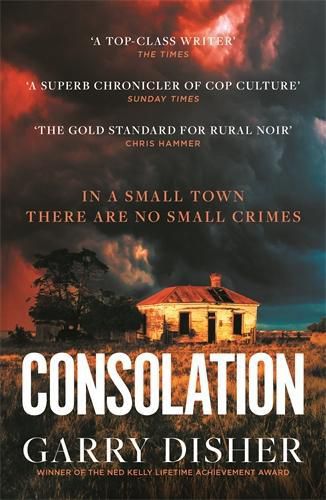 Cover image for Consolation: Constable Hirsch Mysteries 3