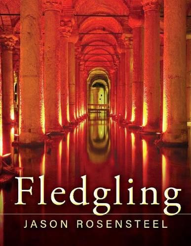 Cover image for Fledgling