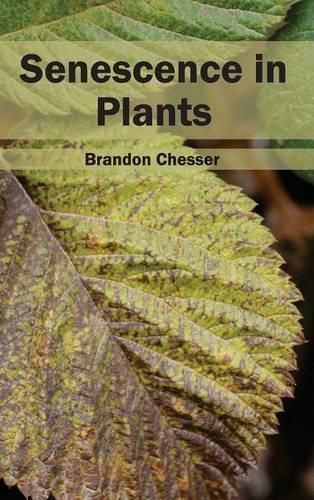 Cover image for Senescence in Plants