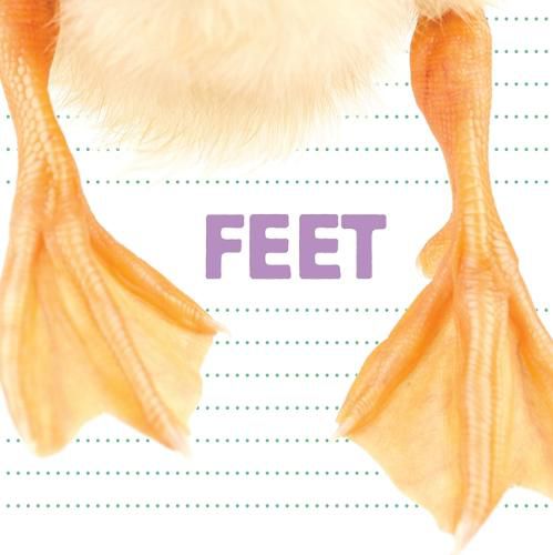 Cover image for Feet