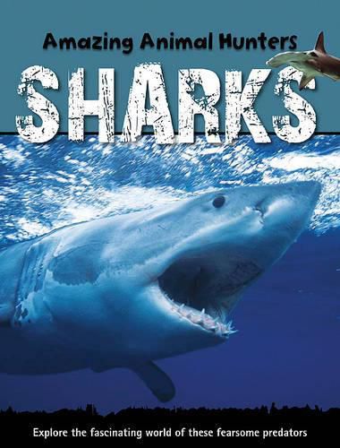 Cover image for Sharks