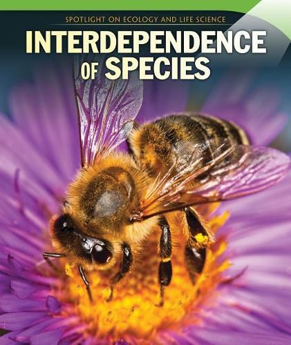 Cover image for Interdependence of Species