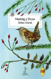 Cover image for Nadolig y Dryw (The Christmas Wren)