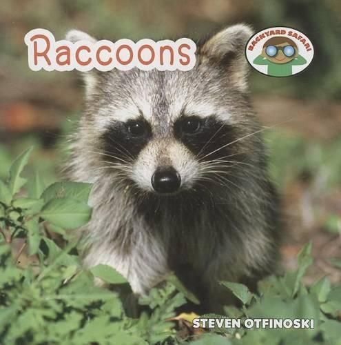 Raccoons