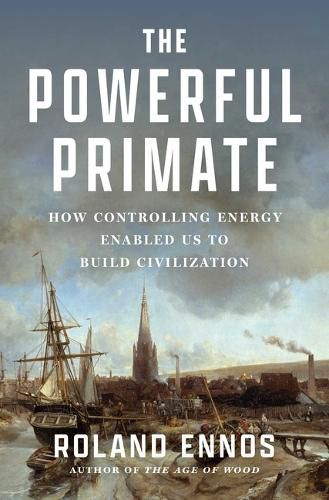 Cover image for The Powerful Primate