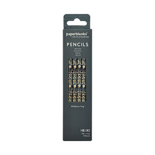 Cover image for Wildflower Song Pencil (4 Pack)