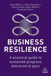 Cover image for Business Resilience: A Practical Guide to Sustained Progress Delivered at Pace