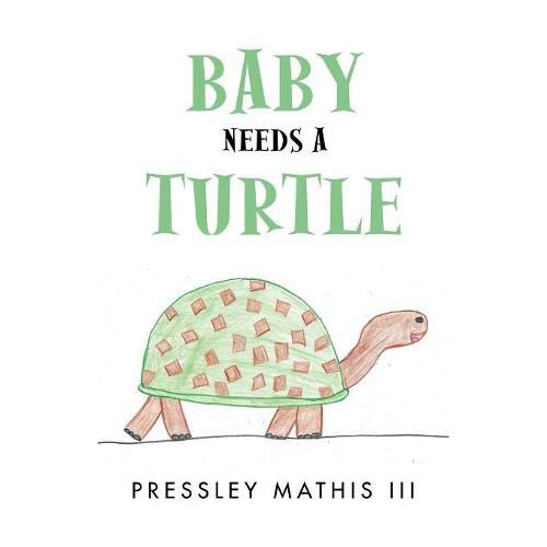 Cover image for Baby Needs a Turtle