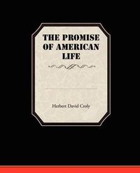 Cover image for The Promise Of American Life
