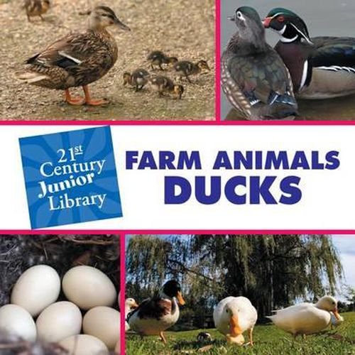 Farm Animals: Ducks