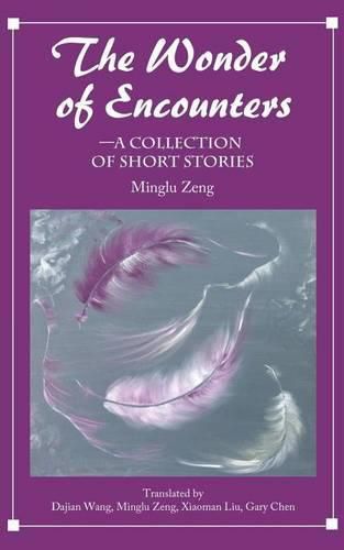 Cover image for The Wonder of Encounters: A Collection of Short Stories