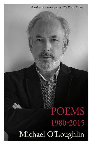 Cover image for Poems 1980-2015