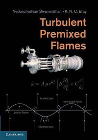 Cover image for Turbulent Premixed Flames