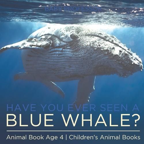 Cover image for Have You Ever Seen A Blue Whale? Animal Book Age 4 Children's Animal Books