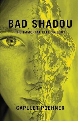 Cover image for Bad Shadou