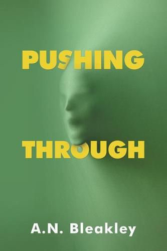 Cover image for Pushing Through