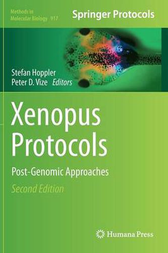 Cover image for Xenopus Protocols: Post-Genomic Approaches