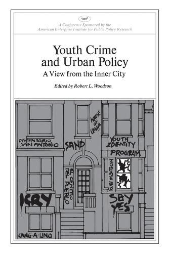 Cover image for Youth Crime and Urban Policy: A View from the Inner City